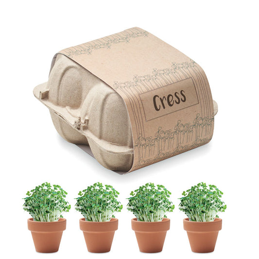 CRESS - Kit de cultiu de cartró d'ous