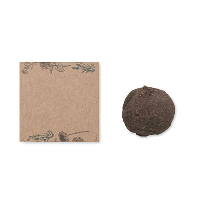 BOMBI - Kit de cultivo de bombas de semillas