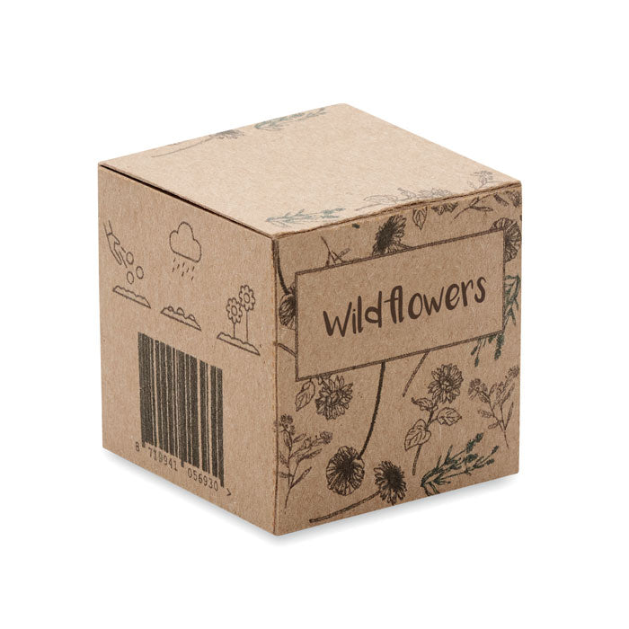 BOMBI - Kit de cultivo de bombas de semillas