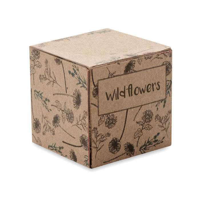 BOMBI - Kit de cultivo de bombas de semillas