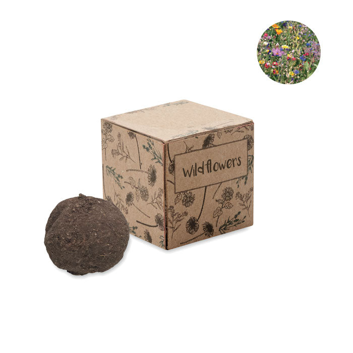 BOMBI - Kit de cultivo de bombas de semillas