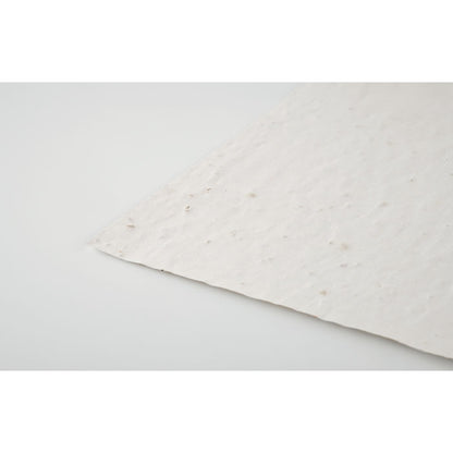 ASIDI – A4-Blatt Wildblumensamenpapier