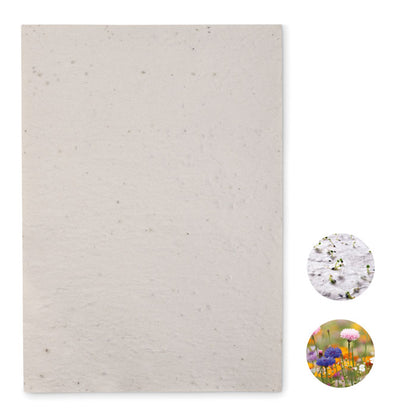 ASIDI – A4-Blatt Wildblumensamenpapier