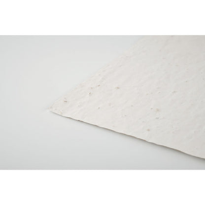 APART - Full de paper de llavors de flors silvestres A5