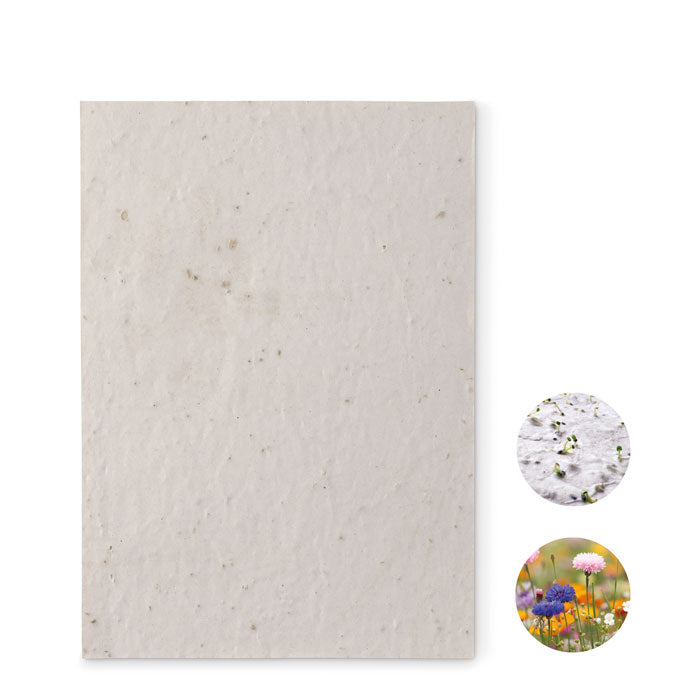 APART - Full de paper de llavors de flors silvestres A5