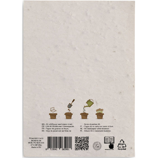 ASIDO - Full de paper de llavors de flors silvestres A6