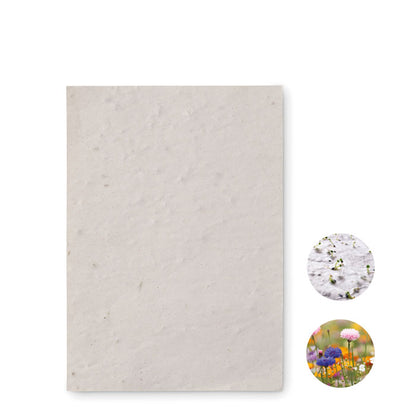 ASIDO - Foglio A6 di carta semi di fiori di campo