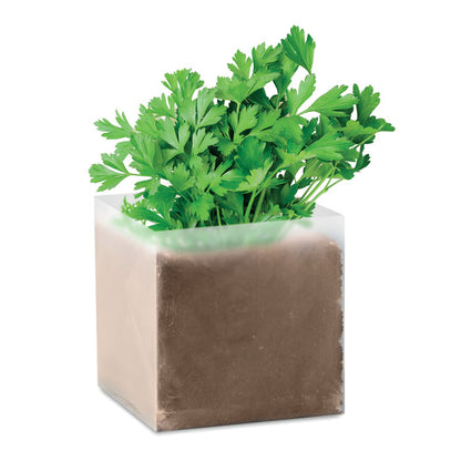 PARSELY - Compost with seeds "PARSLEY"