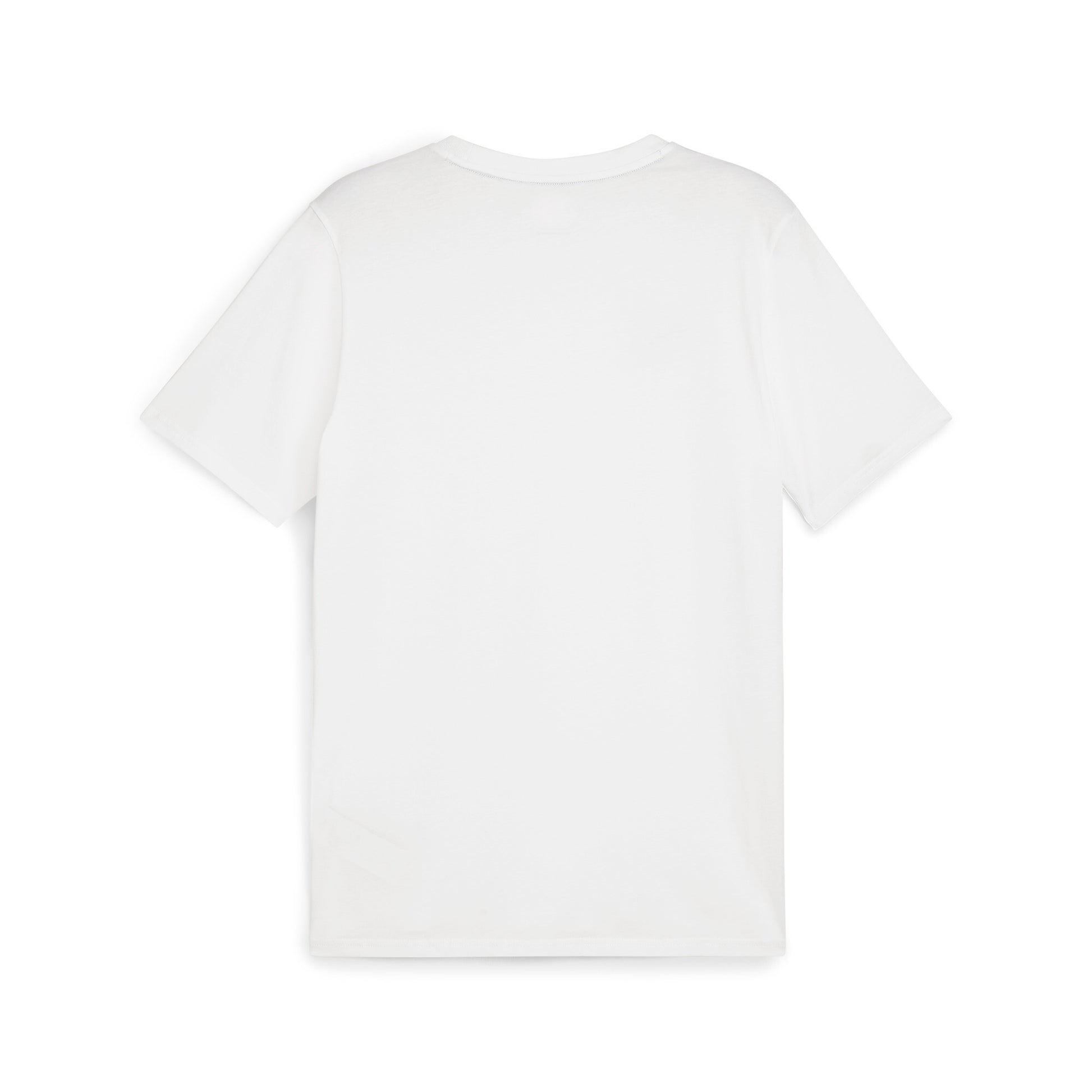 Puma Men's TeamGOAL Casuals Crew-Neck T