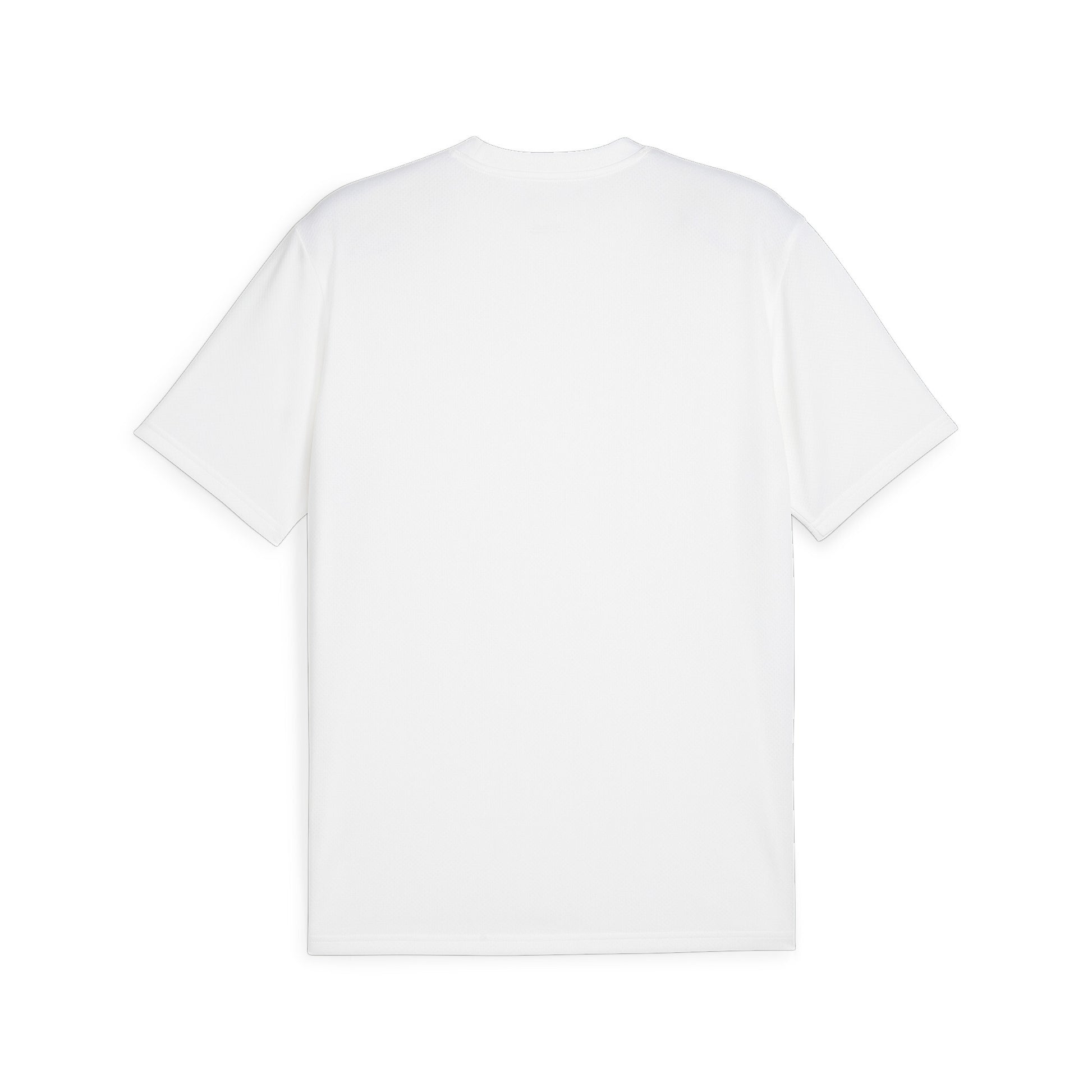 Puma Men's TeamGOAL Football Jersey - Cast Iron