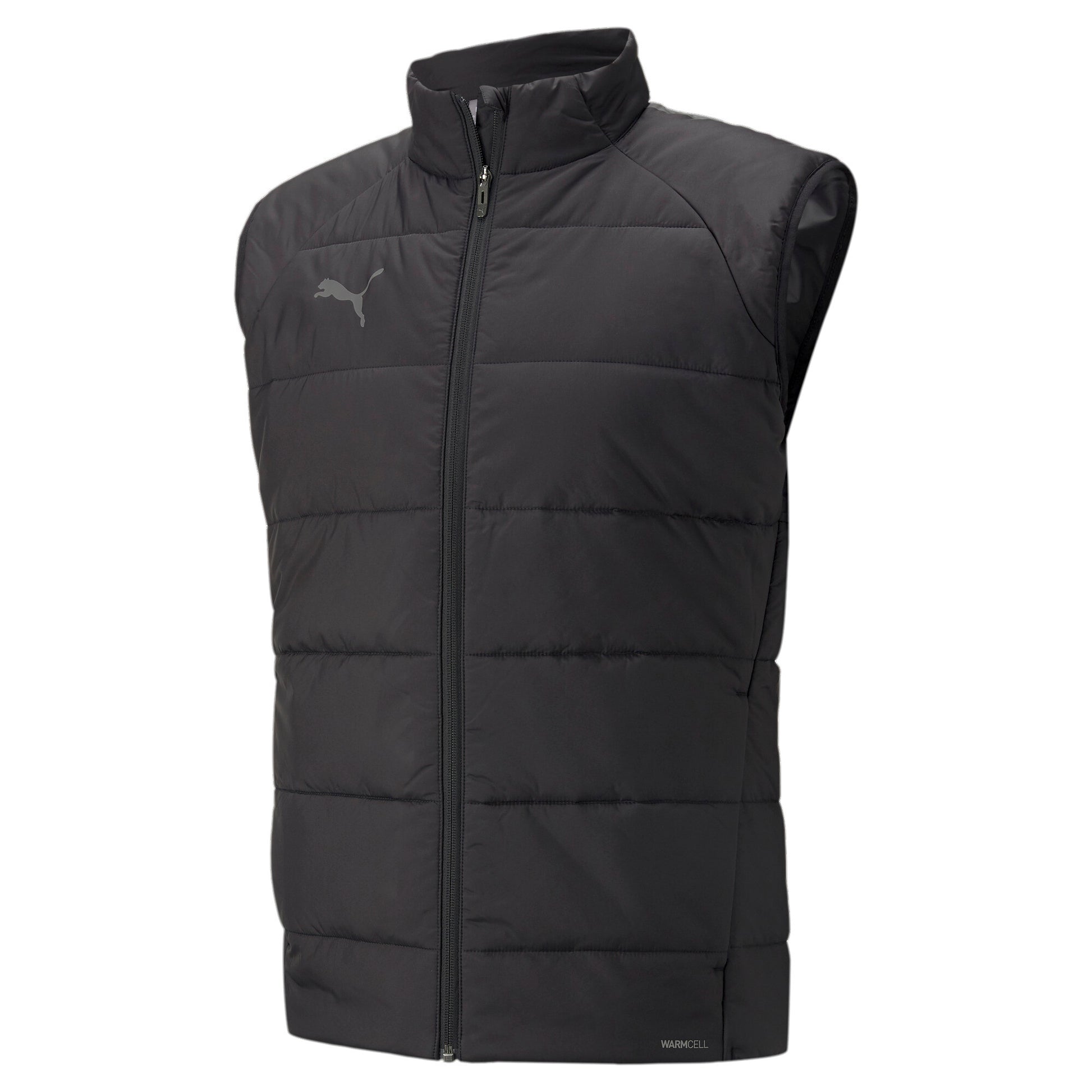 Puma Men's TeamLiga Vest
